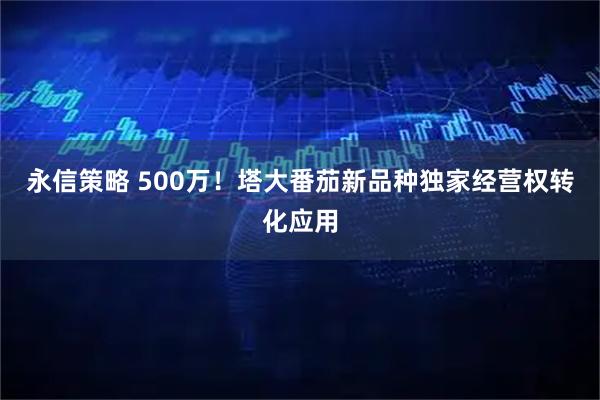 永信策略 500万！塔大番茄新品种独家经营权转化应用